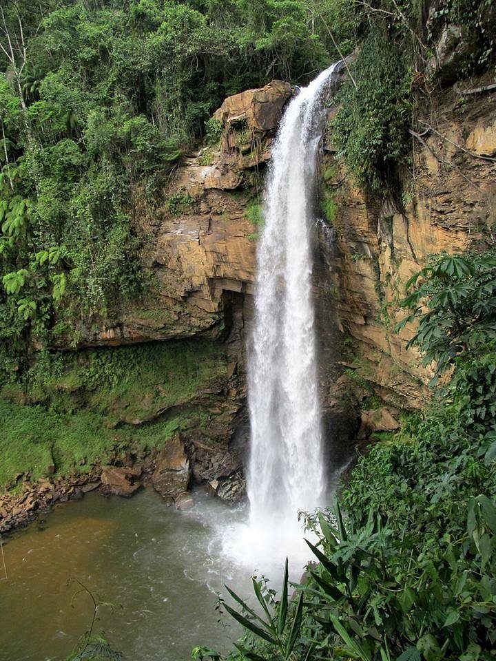 Cachoeira na mata