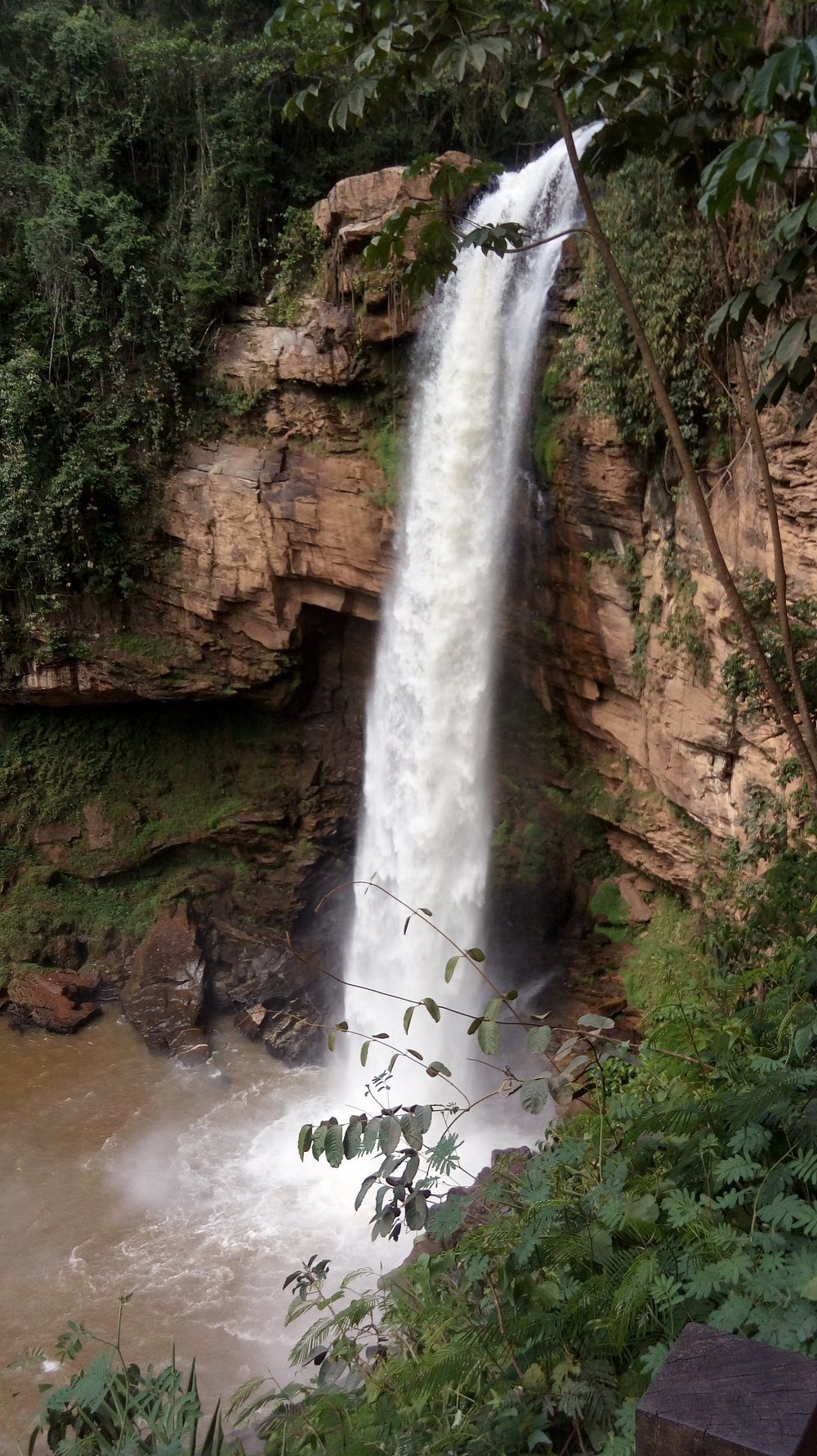 Rio de água gelada na mata